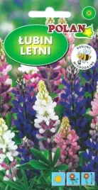 lubin-letni-mix-70-80cm-klosy-kwiaty-ciete-rabaty-miododajna-nasiona-5g