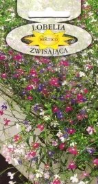 lobelia-zwisajaca-wiszaca-kaskadowa-do-skrzynek-balkonowych-nasiona-01g