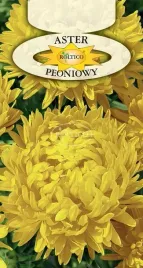 aster-peoniowy-zolty-piekny-kwiat-ciety-rabaty-kwietniki-nasiona-1g