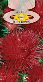 aster-igielkowy-czerwony-na-kwietniki-balkony-do-skrzynek-nasiona-1g