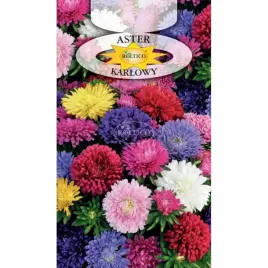 aster-karlowy-mix-do-doniczek-gruntu-rabaty-skrzynki-niski-nasiona-1g