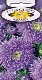 aster-chinski-ksiazecy-fioletowy-astry-nasiona-1g-callistephus-chinensis