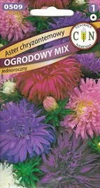 aster-chinski-chryzantemowy-mix-kolorow-nasiona-1g-callistephus-chinensis