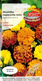 aksamitka-rozpierzchla-niska-rabaty-obwodki-balkony-nasiona-kwiatow-1g