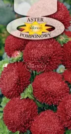 aster-pomponowy-pelny-czerwony-na-kwiat-ciety-rabaty-nasiona-kwiatow-1g