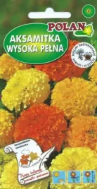 aksamitka-wysoka-na-duze-kwiaty-ciete-rabaty-balkony-obwodki-nasiona-2g