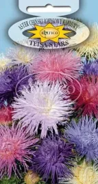 aster-igielkowy-chinski-karlowy-kolor-mix-teisa-stars-niski-nasiona-05g