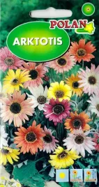 arktotis-ogrodowy-mix-kolorystyczny-niedzwiedzie-ucho-nasiona-05g