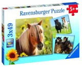 puzzle-3x49-konie