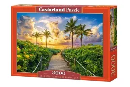puzzle-3000-colorful-sunrise-in-miami-usa