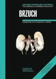anatomia-prawidlowa-czlowieka-brzuch