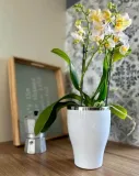 doniczka-oslonka-ceramiczna-na-storczyk-biala-stan-nowy-maks-szerokosc-13-cm