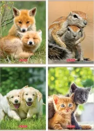 zeszyt-a4-32k-kratka-animals-10szt