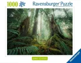 puzzle-1000-lasy