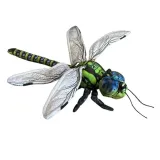 wazka-40cm