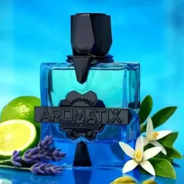 french-avenue-x-aromatix-magnetiq-ekstrakt-perfum-100ml