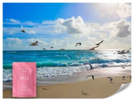 fototapeta-do-sypialni-salonu-plaza-morze-ocean-mewy-krajobraz-3d-400x280