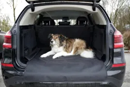 pokrowiec-samochodowy-economy-czarny-170-x-100-cm-kerbl