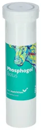 bolus-fosforowy-dla-krow-zagrozonych-zaleganiem-phosphogol-4-x-185-g