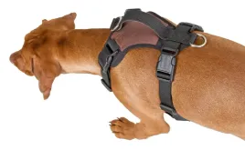 szelki-dla-psa-pulsive-rozne-kolory-rozne-rozmiary-kerbl