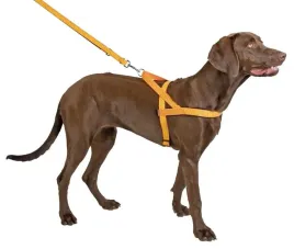 szelki-odblaskowe-dla-psa-norwegian-65-85-cm-kerbl