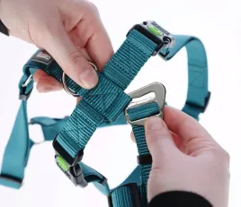 szelki-antyucieczkowe-dla-psa-miami-25-mm-64-100-cm-turkusowe-kerbl