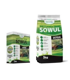 mieszanka-traw-ostoja-rozne-wagi-1-kg-5-kg-sowul-and-sowul