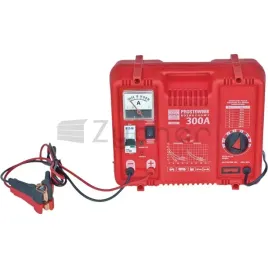 prostownik-62712v300areg