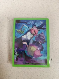 65-koszulek-pokemon-tcg-klara-premium-tournament-collection-sleeves