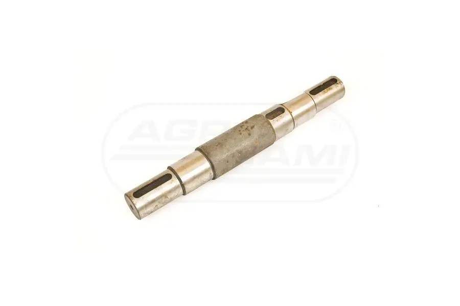 walek-2219480020