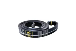 pasek-b103281-80424563-84007006