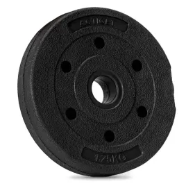 obciazenie-bitumiczne-125-kg-talerz-kompozytowy-29-mm-krazek-do-sztangi-ha