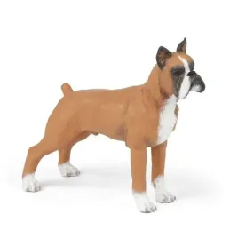 boxer