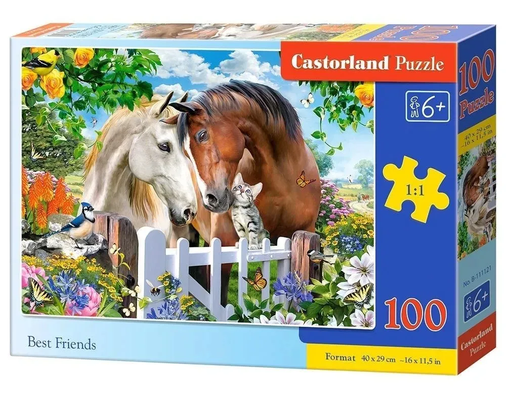 puzzle-100-best-friends-castor