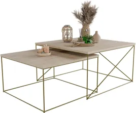 nowoczesny-zestaw-stolikow-kawowych-2w1-salon-loft-zloty-dab-sonoma