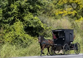 horse-with-buggy-in-amish-country-carol-highsmith-plakat-297x21-cm