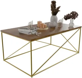 stolik-kawowy-prostokatny-z-drutu-100x60x43-salon-zloty-dab-lancelot