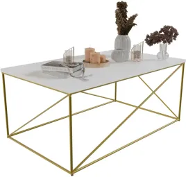 stolik-kawowy-prostokatny-z-drutu-100x60x43-salon-zloty-bialy-mat