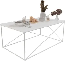 stolik-kawowy-prostokatny-z-drutu-100x60x43-salon-bialy-bialy-mat