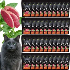 rafi-dolina-noteci-karma-miesisty-pasztecik-dla-kota-40x100g-z-kaczka
