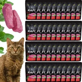 rafi-dolina-noteci-pasztet-mokra-karma-kot-bezzbozowa-cielecina-40x100g
