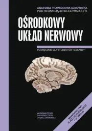 anatomia-prawidlowa-czlowieka-osrodkowy-ukl-ner