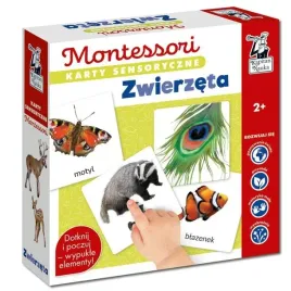 karty-sensoryczne-zwierzeta-2-montessori-ega-edukacyjna-ks1019