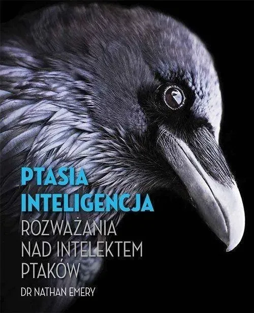 ptasia-inteligencja