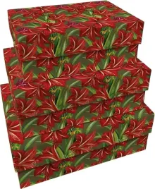 pudelka-ozdobne-gwiazda-betlejemska-3szt-swieta-bn