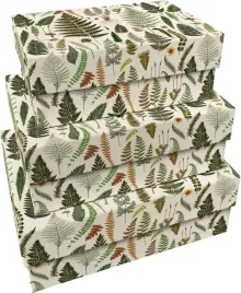 pudelka-ozdobne-paprocie-3szt