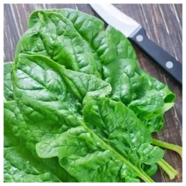 szpinak-olbrzym-zimowy-duze-opakowanie-nasiona-warzyw