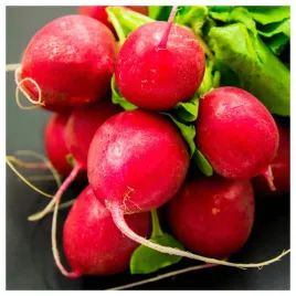 rzodkiewka-carmen-smaczna-duza-czerwona-nasiona-warzyw