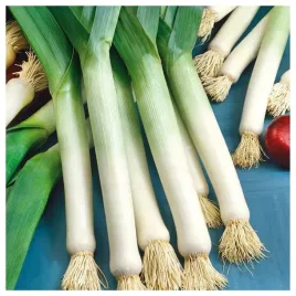 por-golem-mrozoodporny-wczesny-bardzo-plenny-nasiona-warzyw