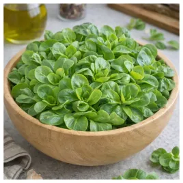 roszponka-warzywna-nasiona-verte-de-cambrai-nasiona